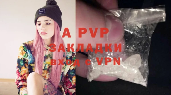 PSILOCYBIN Дмитриев