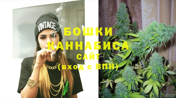 PSILOCYBIN Дмитриев