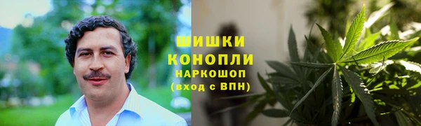 PSILOCYBIN Дмитриев