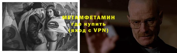 PSILOCYBIN Дмитриев