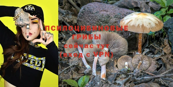 PSILOCYBIN Дмитриев